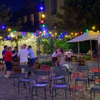 Guirlande Guinguette IP65 30M 90 Bulbes multico