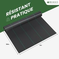 Toile de Paillage 2x50M 100g/m²