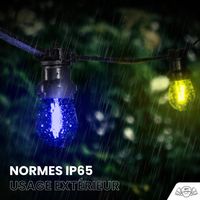 Guirlande de Noël Extérieure "Familliale" IP65  - 10 m 20 Ampoules Multicolores avec Variateur & Télécommande