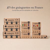 Variateur de Lumière IP65 avec Télécommande pour Ampoules Led Dimmables