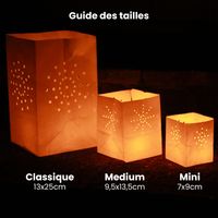 Lot de 30 Maya Medium Rose (6 x 5)