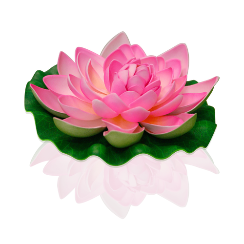 Lotus Natural Rose