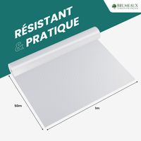 Voile de Protection Hivernale 50M 50g/m²