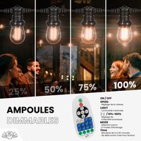 Guirlande Guinguette 10M Filament LED Ambré 30 Bulbes Dimmables Avec Variateur et Télécommande