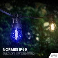 Guirlande de Noël Extérieure "Élégante" IP65 – 10 m 20 Ampoules avec Variateur & Télécommande