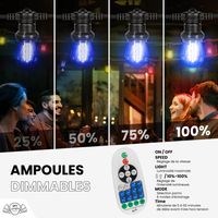 Guirlande Guinguette 100M Filament Multicolore LED 100 Bulbes Dimmables Avec Variateur et Télécommande