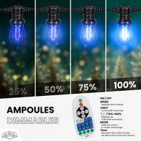 Guirlande de Noël Extérieure "Familliale" IP65  - 10 m 20 Ampoules Multicolores avec Variateur & Télécommande