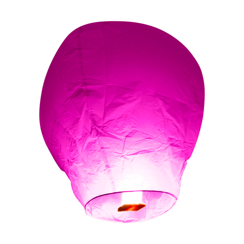 Balloon Rose Fuchsia