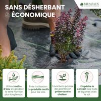 Lot Toile de Paillage 1M x 50M 100g/m² + 100 Sardines de Fixation