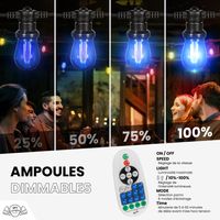 Guirlande Guinguette 30M Filament Multicolore LED 60 Bulbes Dimmables Avec Variateur et Télécommande