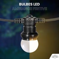 Kit Guirlande Guinguette IP65 20M 40 Bulbes Blancs