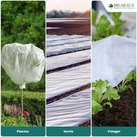 Voile de Protection Hivernale 50M 50g/m²