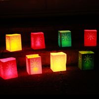 Maya Mini Rose x5