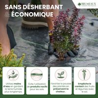 Toile de Paillage 300m2 - 6 rouleaux 50x1m - Epaisseur 130g/m²