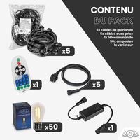 Guirlande Guinguette 50M Filament LED 50 Bulbes Dimmables Avec Variateur et Télécommande