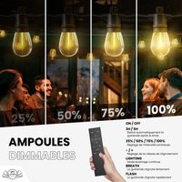 Guirlande Guinguette IP65 LED 30M 30 Bulbes Filament Allongé  Dimmables Avec Télécommande