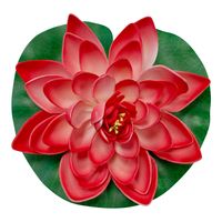 Lotus Natural Rouge