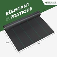 Lot Toile de Paillage 50M 100g/m² + 100 Sardines de Fixation en Plastique