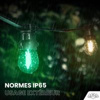 Guirlande de Noël Extérieure "Traditionnelle" IP65 – 10 m 20 Ampoules avec Variateur & Télécommande