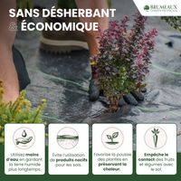 Toile de Paillage 50m² Épaisseur 150g/m²