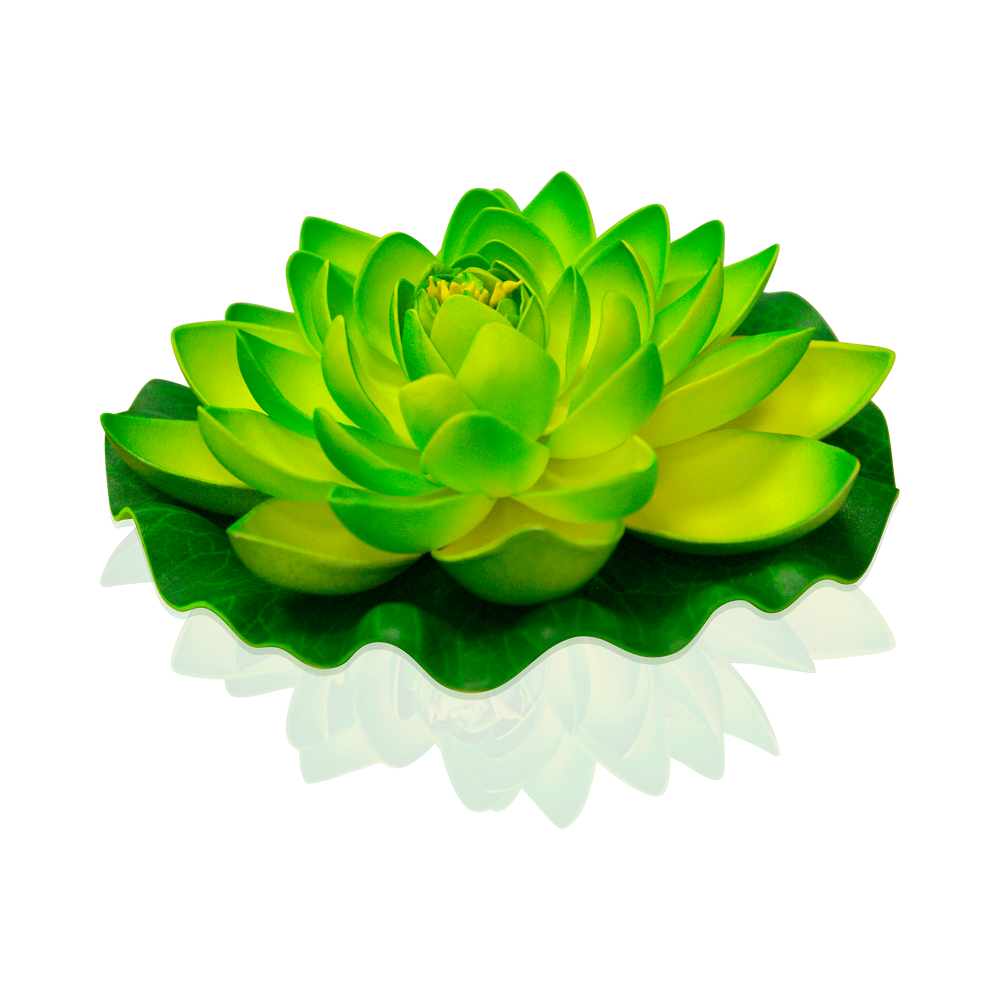 Lotus Natural Verte