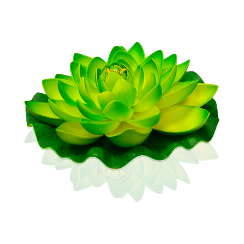 Lotus Natural Verte