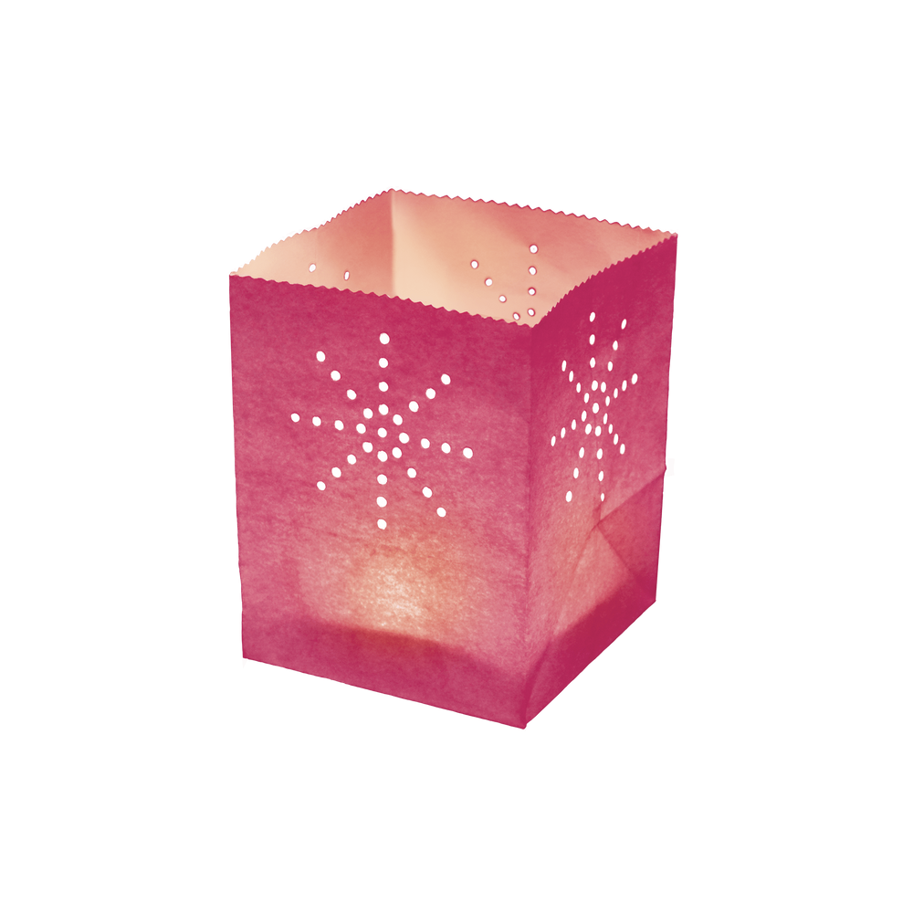 Lot de 30 Maya Medium Rose (6 x 5)