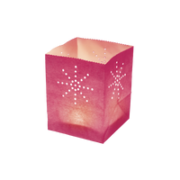 Lot de 30 Maya Medium Rose (6 x 5)