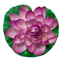Lotus Natural Parme