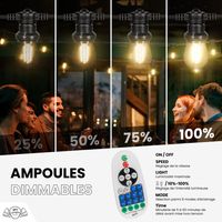 Guirlande Guinguette 20M Filament LED 40 Bulbes Dimmables Avec Variateur et Télécommande