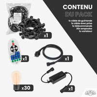 Guirlande Guinguette 10M Filament LED Ambré 30 Bulbes Dimmables Avec Variateur et Télécommande