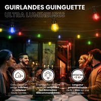 Guirlande Guinguette Filament France 50M LED 50 Bulbes