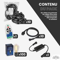 Guirlande Guinguette 100M Filament LED 100 Bulbes Dimmables Avec Variateur et Télécommande