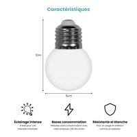 Lot de 20 Ampoules Guirlande Guinguette Led E27 Transparentes