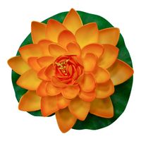 Lotus Natural Orange