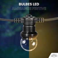Kit Guirlande Guinguette IP65 20M 40 Bulbes Transparents Dimmables