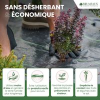 Toile de Paillage 50M 65g/m² - Polypropylène