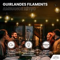 Guirlande Guinguette IP65 LED 30M 30 Bulbes Filament Allongé  Dimmables Avec Télécommande