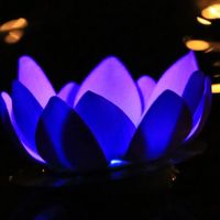 Nymphea LED Bleue