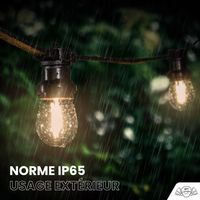 Guirlande Guinguette 20M Filament LED Ambré 60 Bulbes Dimmables Avec Variateur et Télécommande