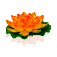 Lotus Natural Orange