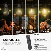 Guirlande Guinguette IP65 LED 30M 30 Bulbes Filament Allongé  Dimmables Avec Télécommande