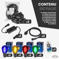 Guirlande Guinguette 20M Filament Multicolore LED 20 Bulbes Dimmables Avec Variateur et Télécommande