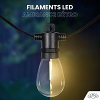 Guirlande Guinguette IP65 LED 30M 30 Bulbes Filament Allongé  Dimmables Avec Télécommande