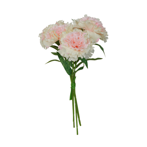 Bouquet 5 Oeillets Rose