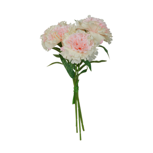 Bouquet 5 Oeillets Rose
