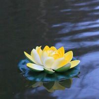 Lotus Natural Jaune