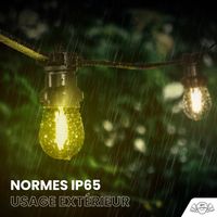 Guirlande de Noël Extérieure "Forestière" IP65 – 10 m 20 Ampoules avec Variateur & Télécommande